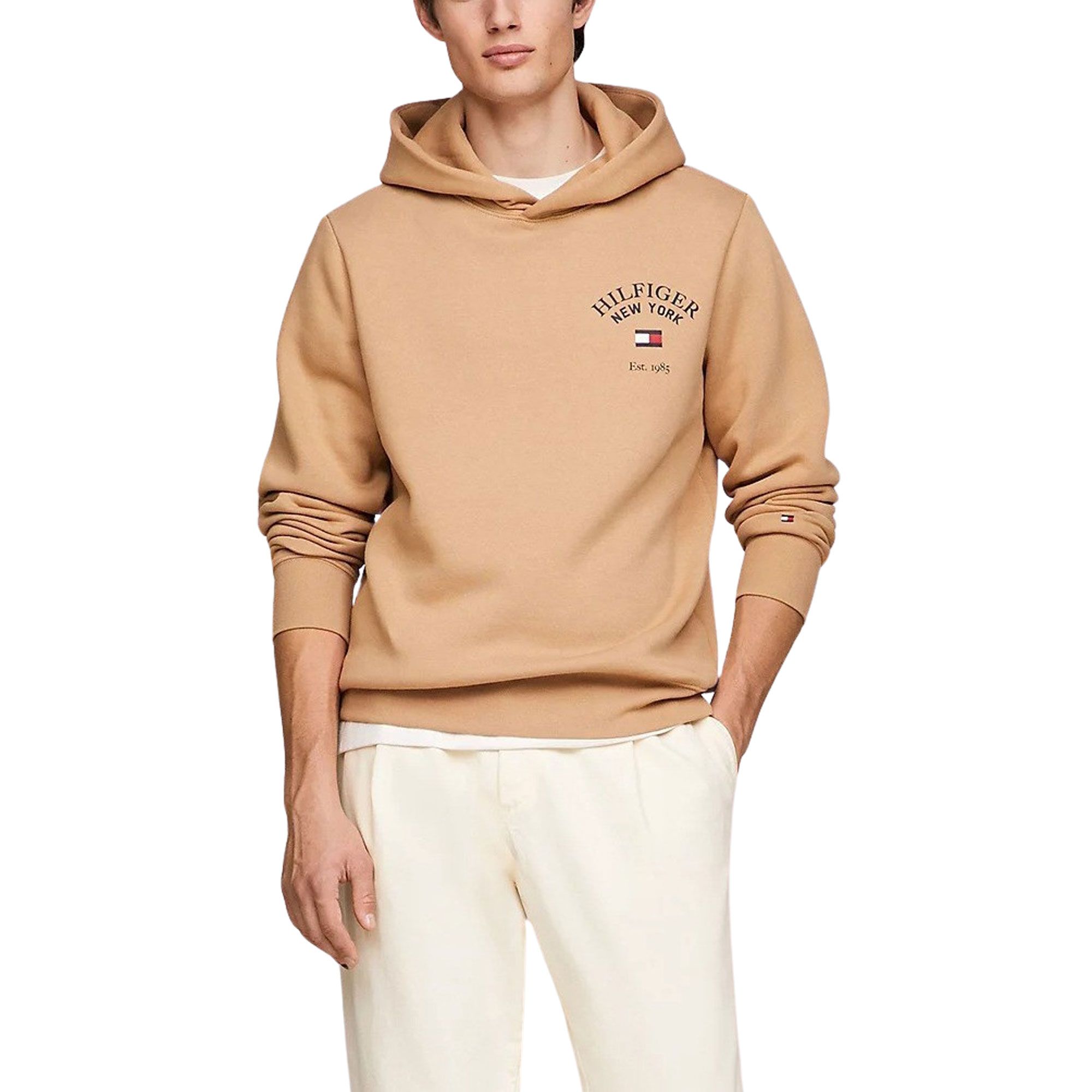 Tommy Hilfiger Arched Varsity Hoodie Heren