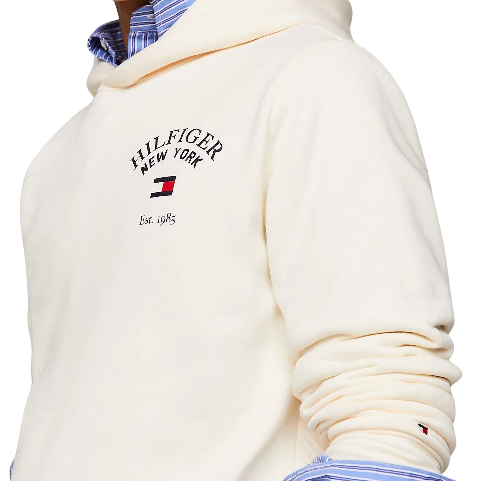 Tommy Hilfiger Arched Varsity Hoodie Heren