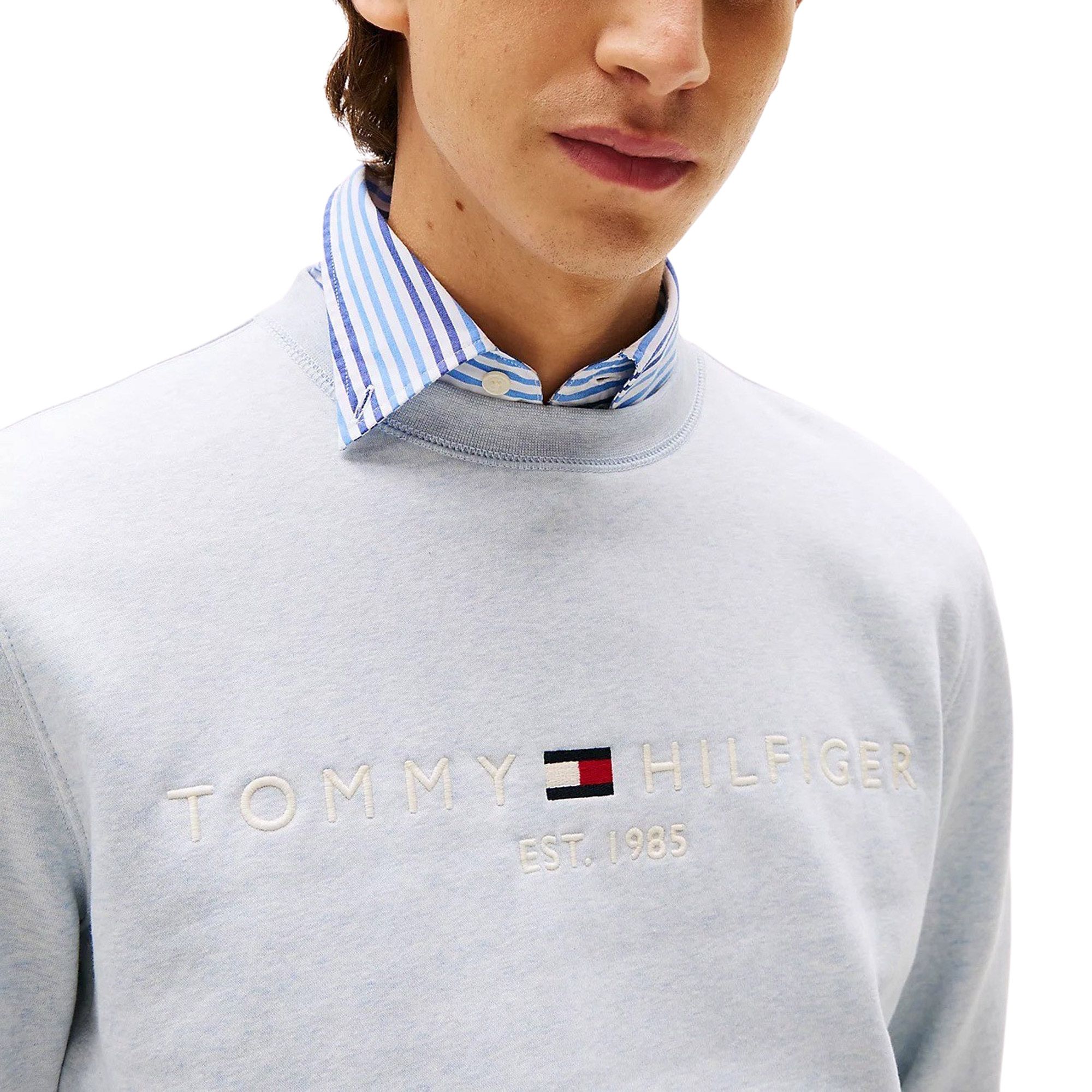 Tommy Hilfiger Logo Sweater Heren