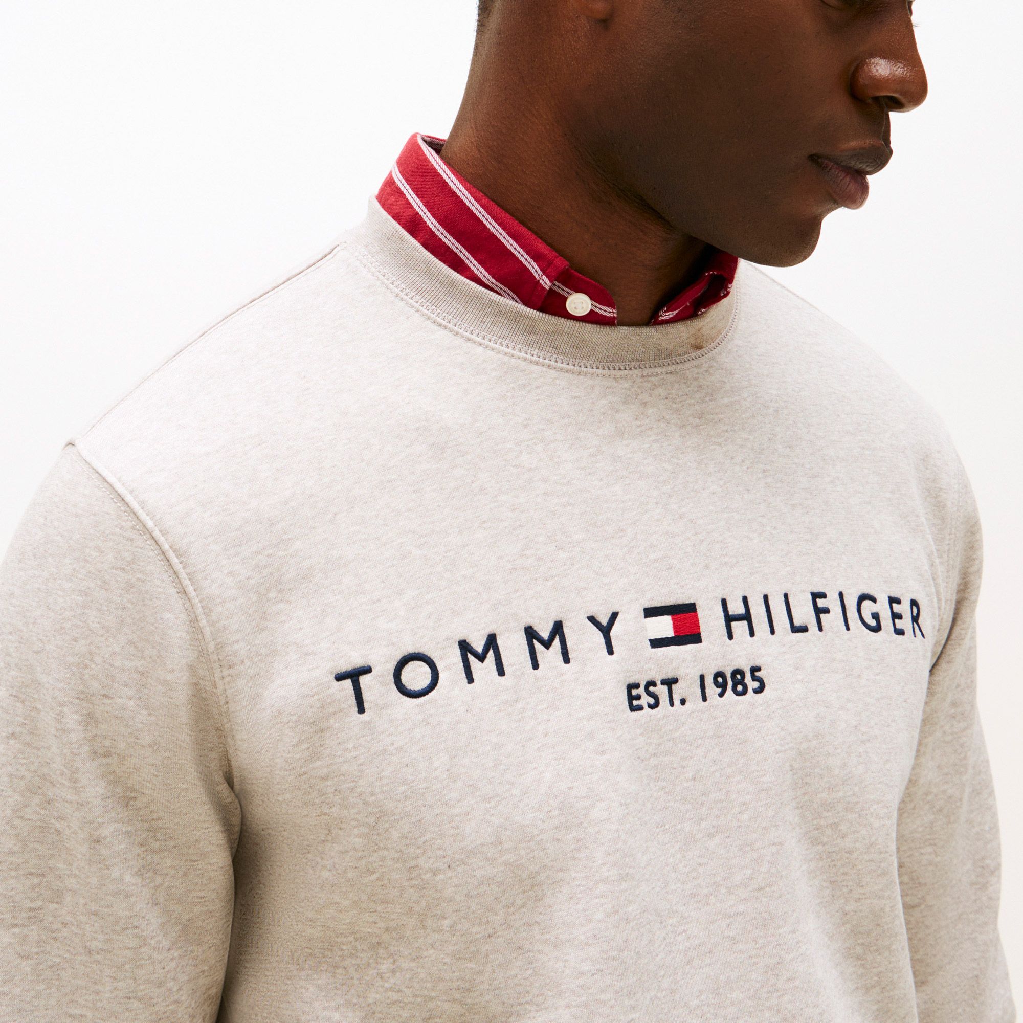 Tommy Hilfiger Sweater Heren