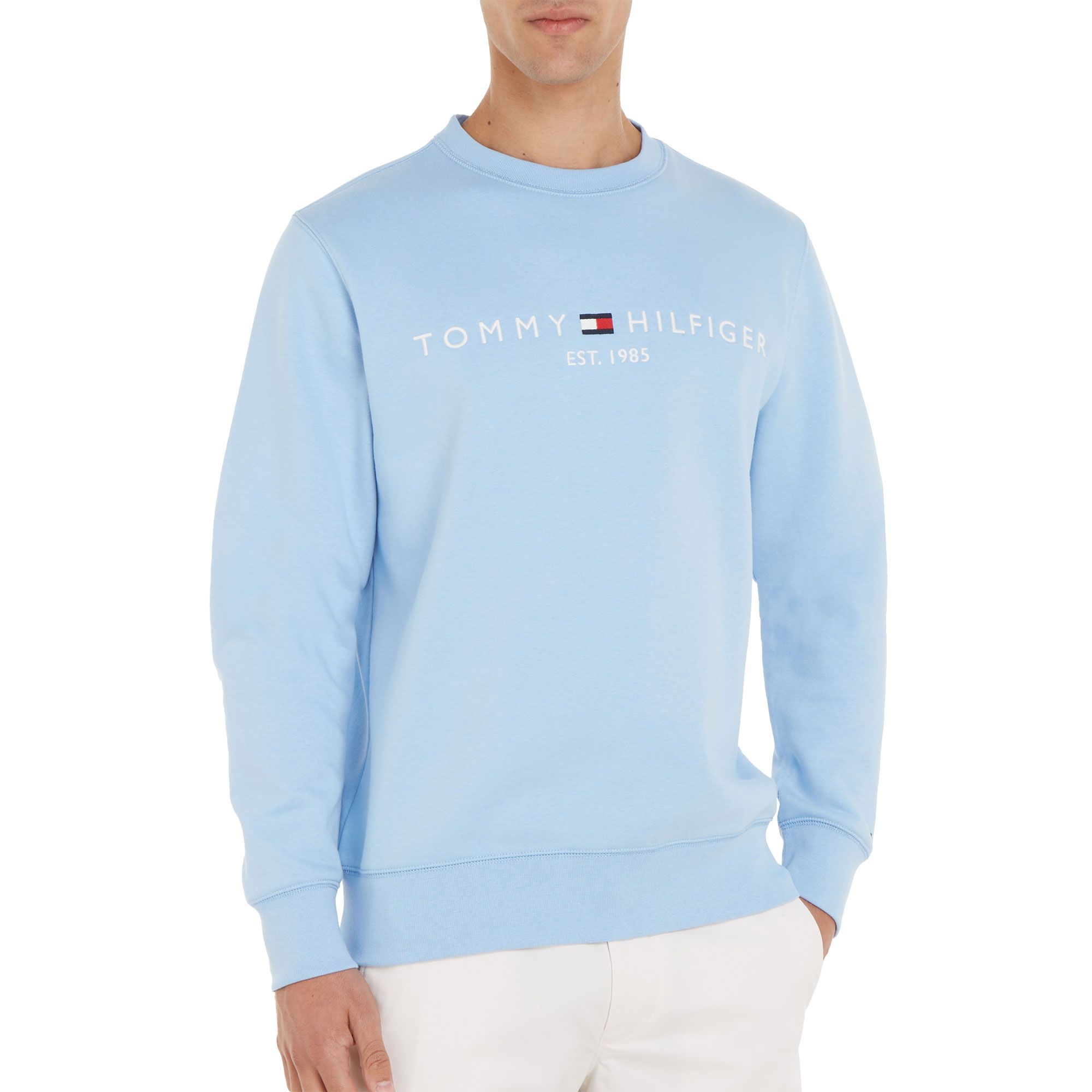 Tommy Hilfiger Sweater Heren