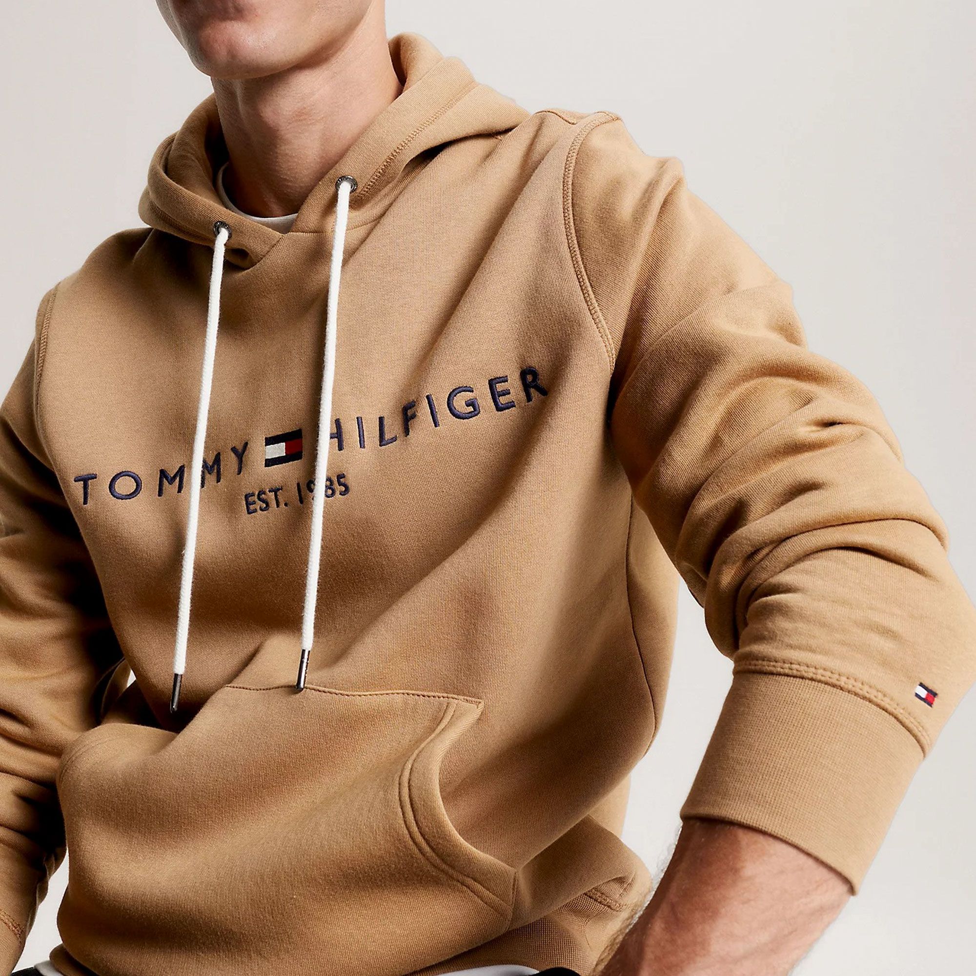 Tommy Hilfiger Logo Hoodie Men