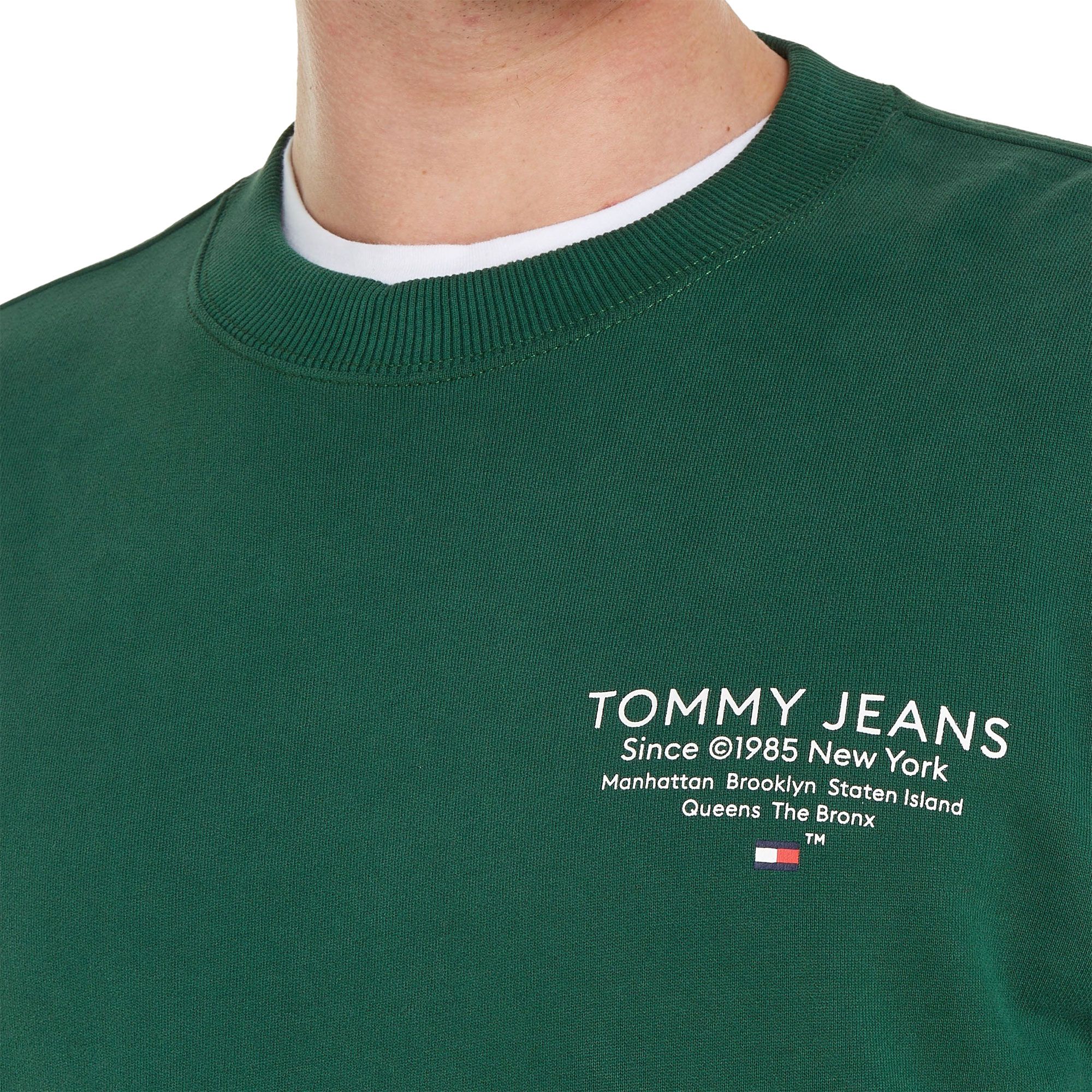 Tommy Hilfiger Regular Essential Graphic Sweater Heren