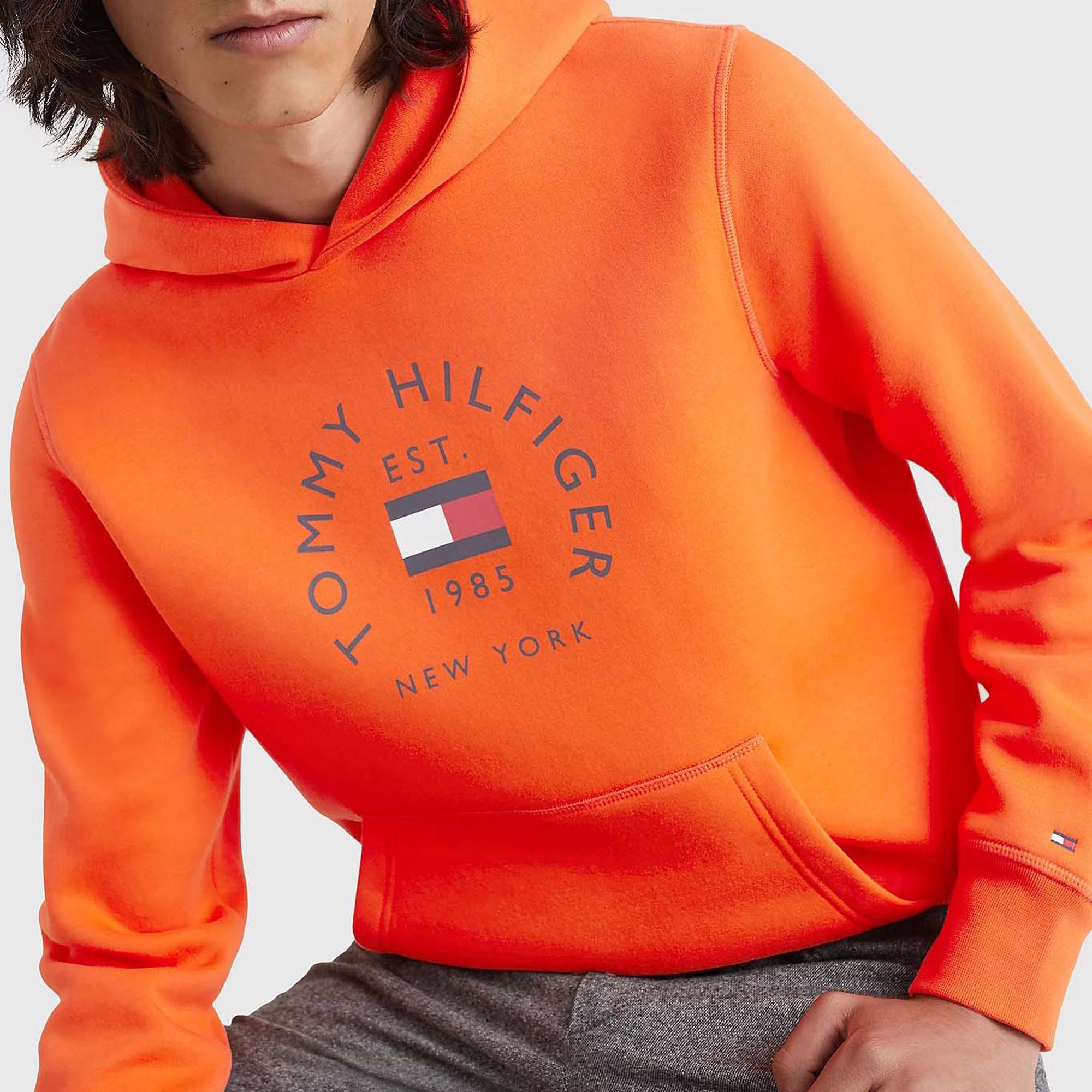 Tommy Hilfiger Flag Arch Hoodie Heren