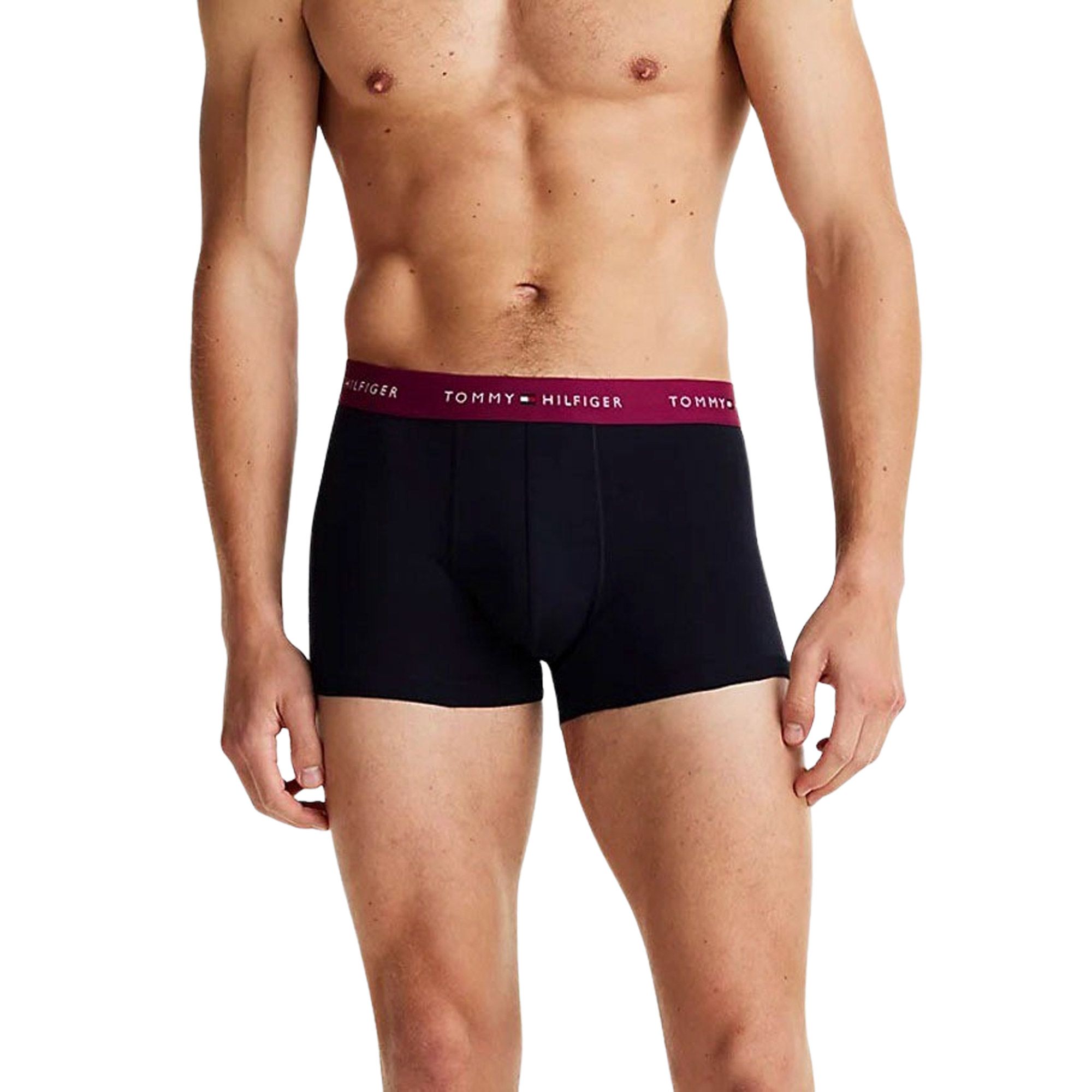 Tommy Hilfiger Trunk Boxershorts Heren (5-pack)