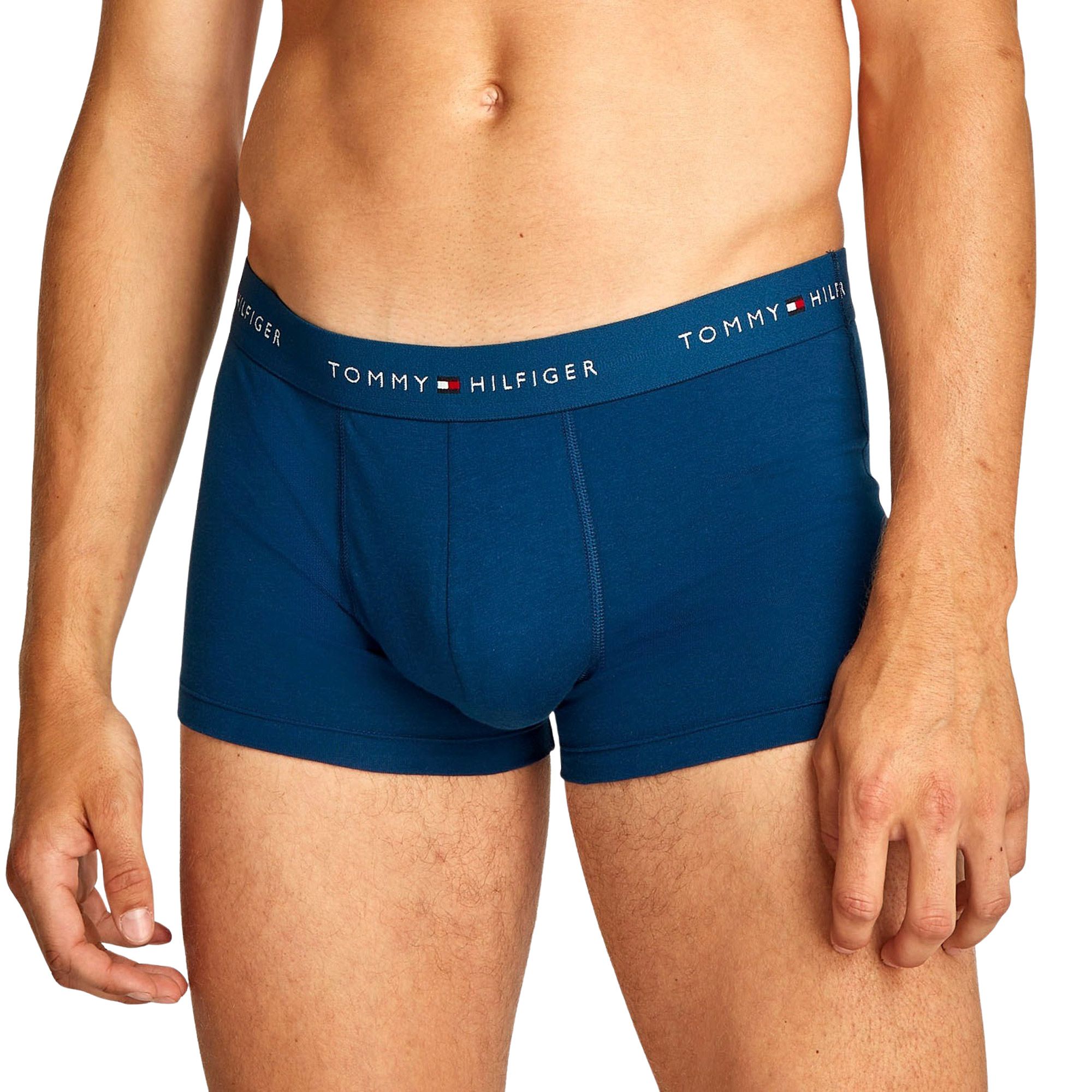 Caleçon Tommy Hilfiger Trunk Hommes (lot de 3)