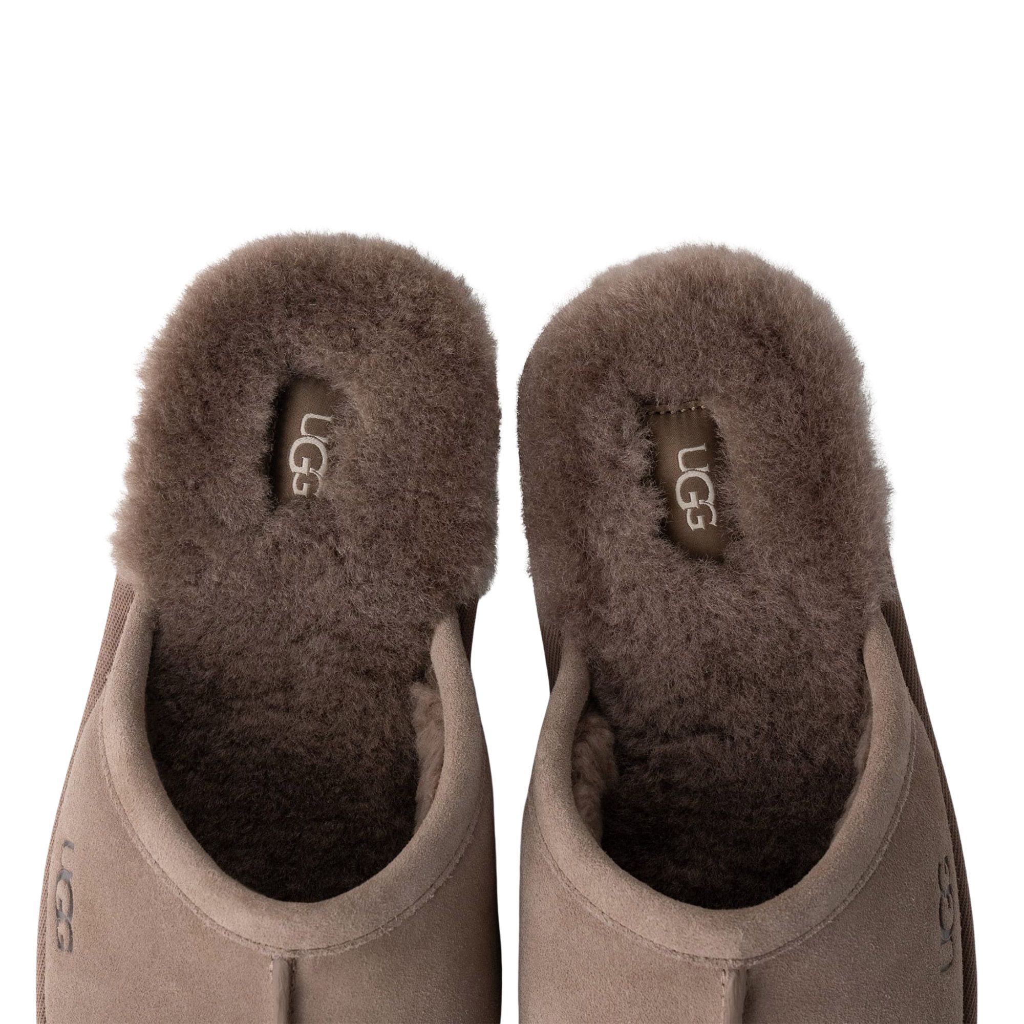 UGG Scuff Pantoffels Heren