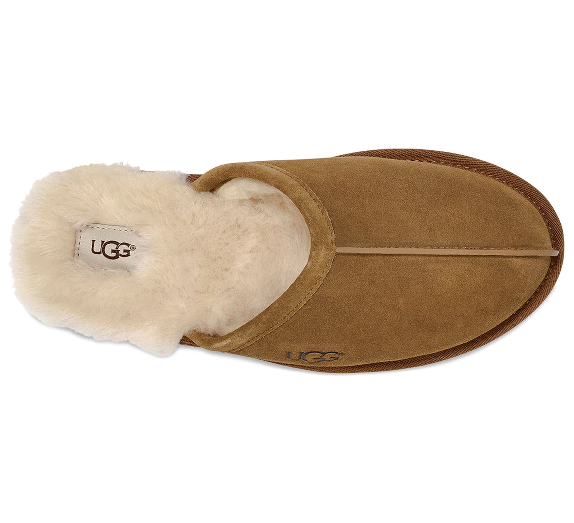 UGG Scuff Pantoffels Heren