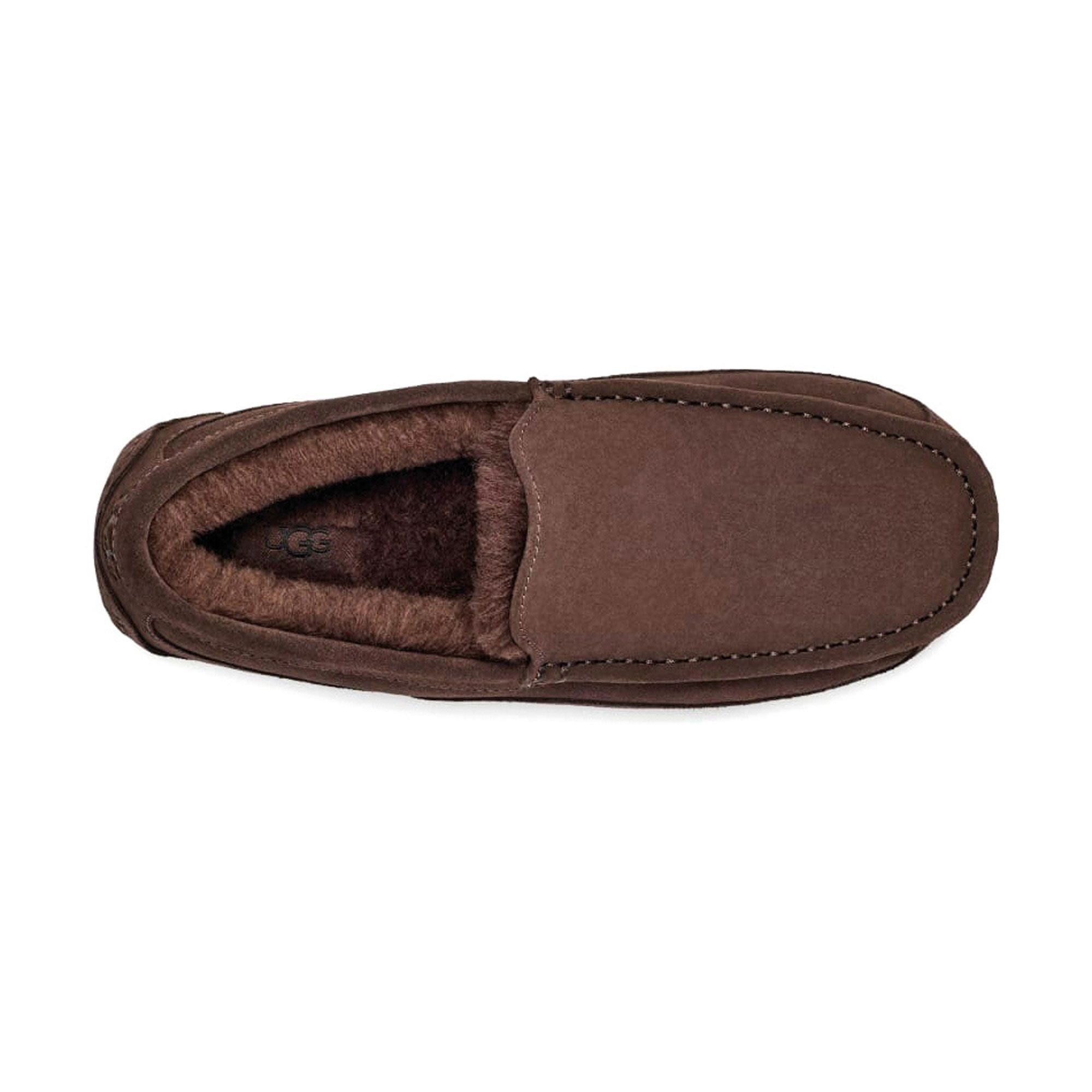 UGG Ascot Pantoffels Heren