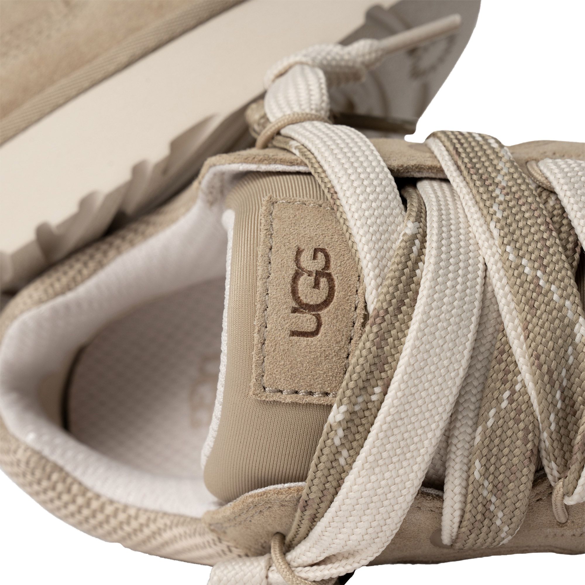 Baskets UGG Lo Lowmel Hommes