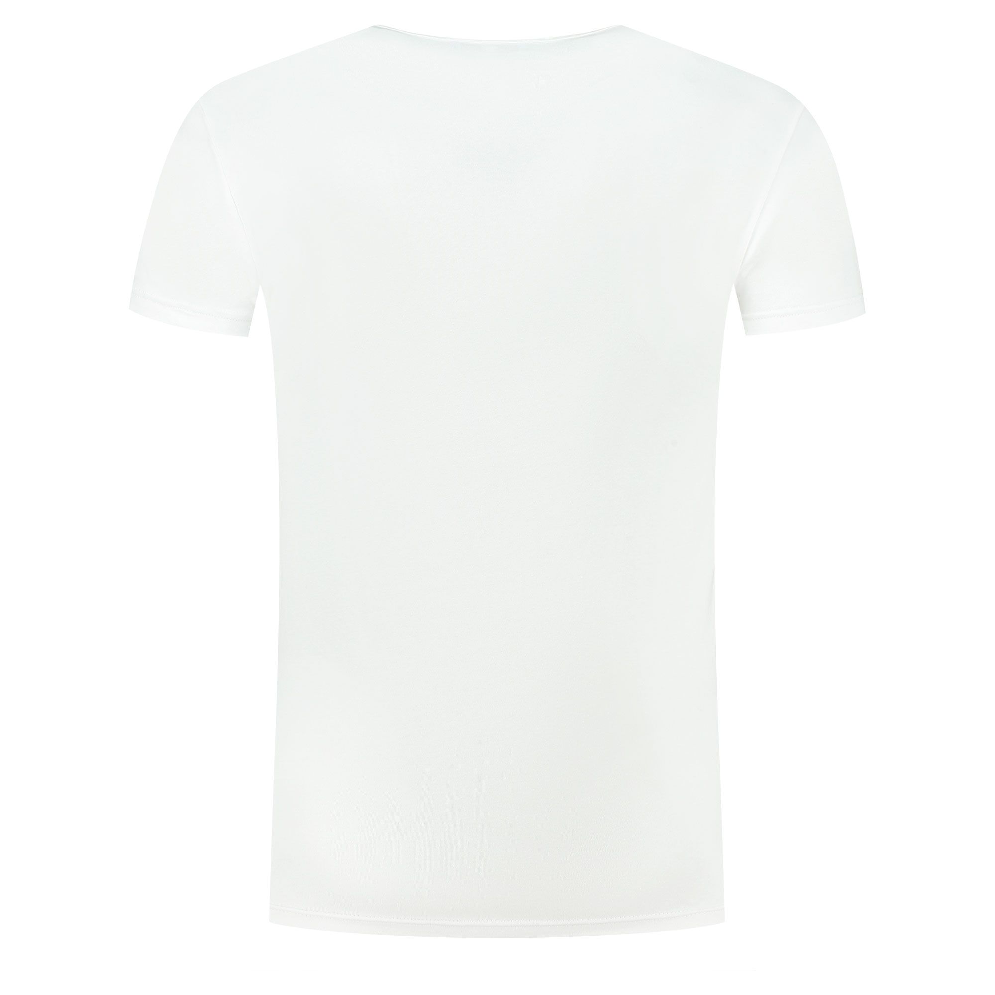 US Polo Assn Joe Shirts Heren (2-pack)