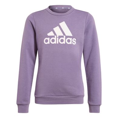 Adidas-Essentials-Big-Logo-Sweater-Junior-2311271354