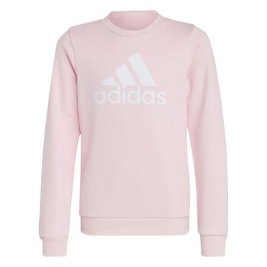 Adidas-Essentials-Big-Logo-Sweater-Junior-2401191350