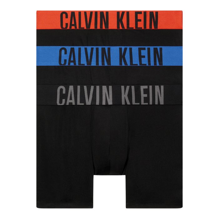 Boxershorts Calvin Klein Brief Hommes (lot de 3)