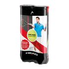 Head Championship Novak Djokovic Tennisball (2x 4-can)