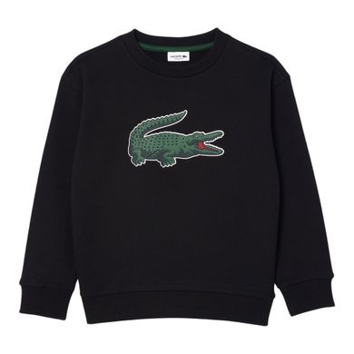 Lacoste-Sweater-Junior-2404161613