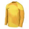 Nike-Gardien-IV-Keepersshirt-Heren-2204261612