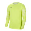 Nike-Park-IV-Keepersshirt-Heren