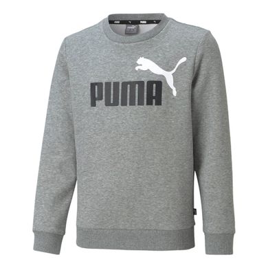 Puma-Essential-Big-Logo-Crew-Sweater-Junior-2309071443