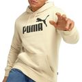 Puma-Essential-Hoodie-Heren-2303091433