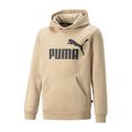 Puma-Essential-Hoodie-Junior-2207071057