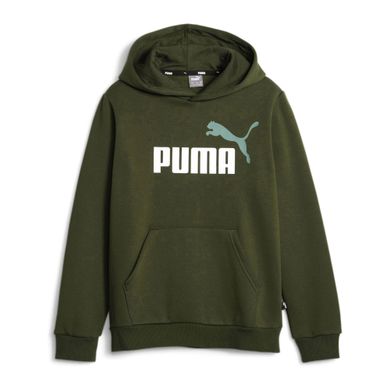 Puma-Essential-Hoodie-Junior-2309071443