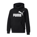 Puma-Essential-Hoodie-Junior