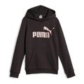Puma-Essentials-Logo-Hoodie-Junior-2309071442
