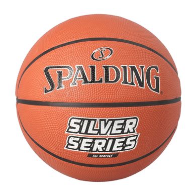 Spalding-Silver-Series-Outdoor-Basketbal-2207011344