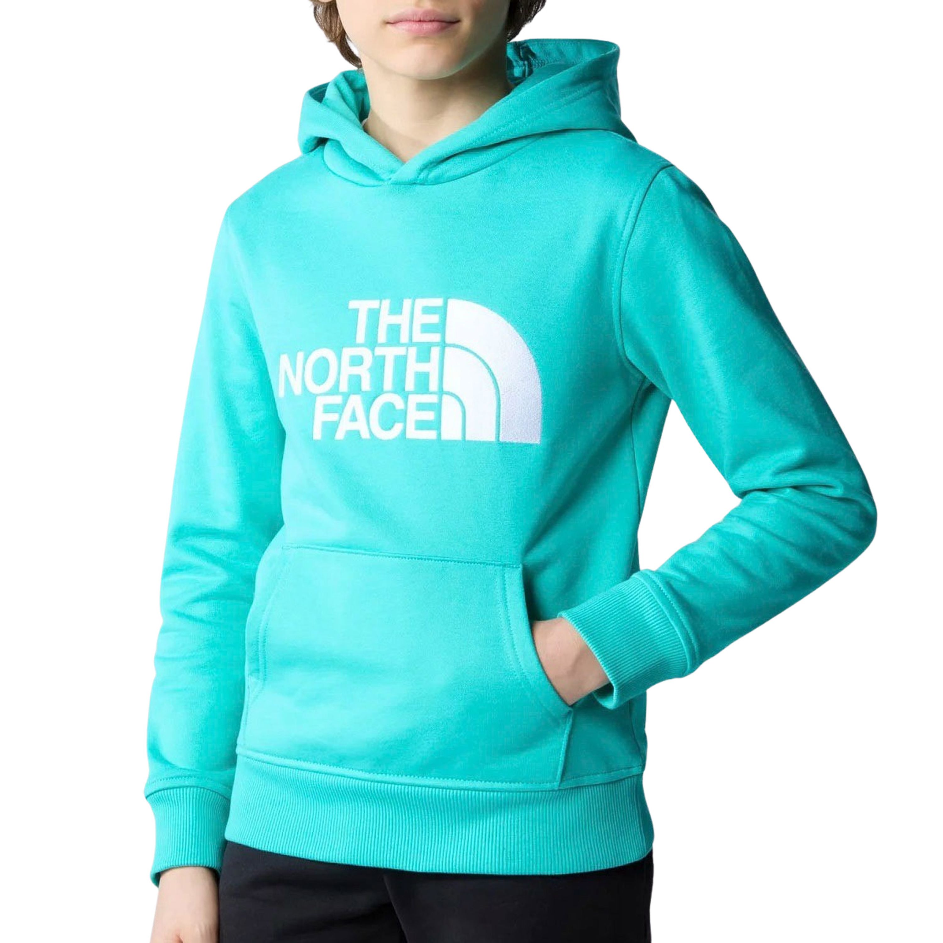 The North Face Hoodie met labelstate t model 'DREW PEAK'
