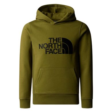 The-North-Face-Drew-Peak-Hoodie-Junior-2403221609