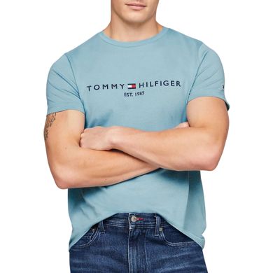 Tommy-Hilfiger-Essential-Shirt-Heren-2402271149